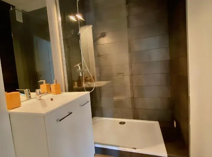 Appartement T2 Refait A Neuf Et Fonctionnel